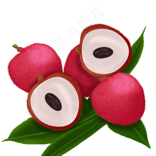 果水果果子荔枝壳薄