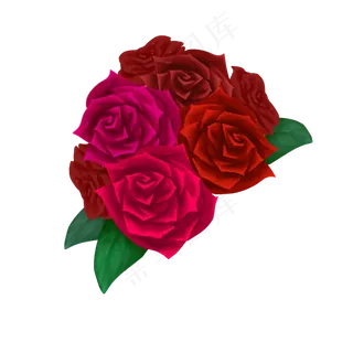 花朵素材一簇红玫瑰
