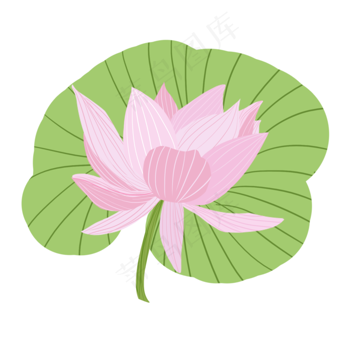 清新夏季荷花元素(2000X2000(DPI:300))psd模版下载