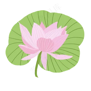 清新夏季荷花元素