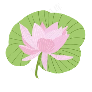 清新夏季荷花元素