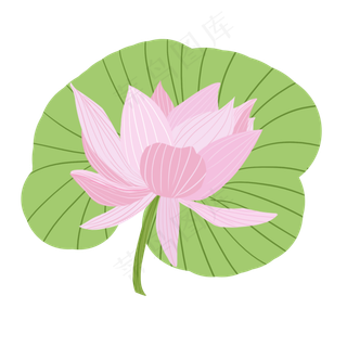 清新夏季荷花元素