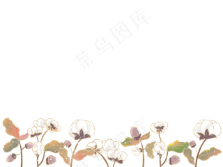 冬日装饰边框冬天小雪植物棉花,免抠元素