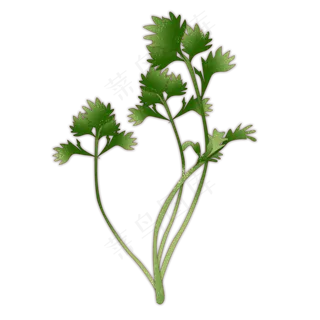 艾草绿色端午节一枝