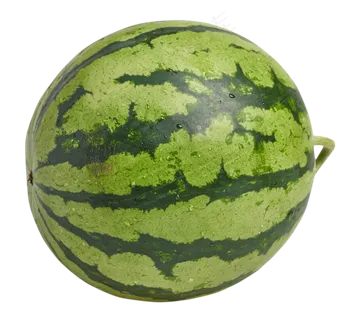 美味可口的西瓜