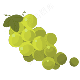 葡萄大自然培育绿色叶子晶莹