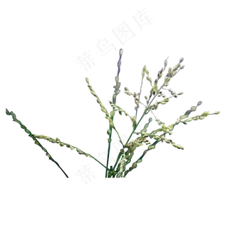 种植花卉装饰花