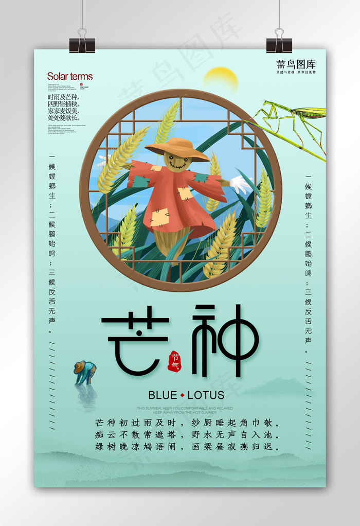 清新简约节气芒种海报