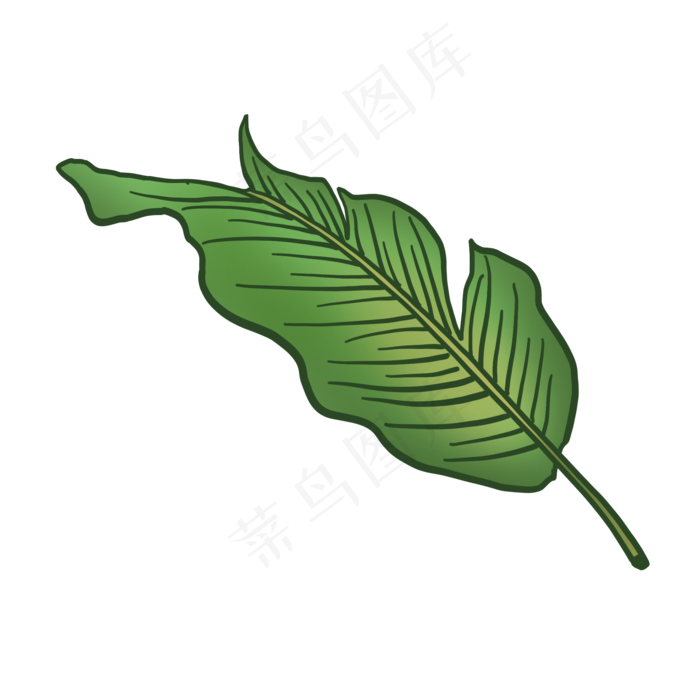 绿色热带植物叶子元素