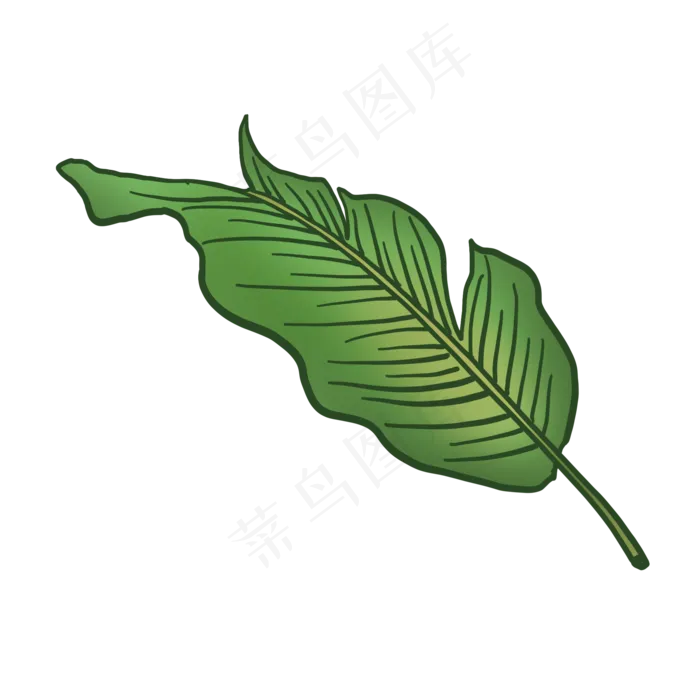 绿色热带植物叶子元素(2048X2048(DPI:132))psd模版下载