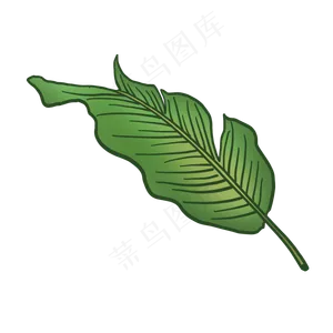 绿色热带植物叶子元素