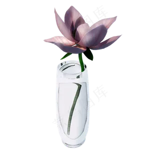 立体荷花png图