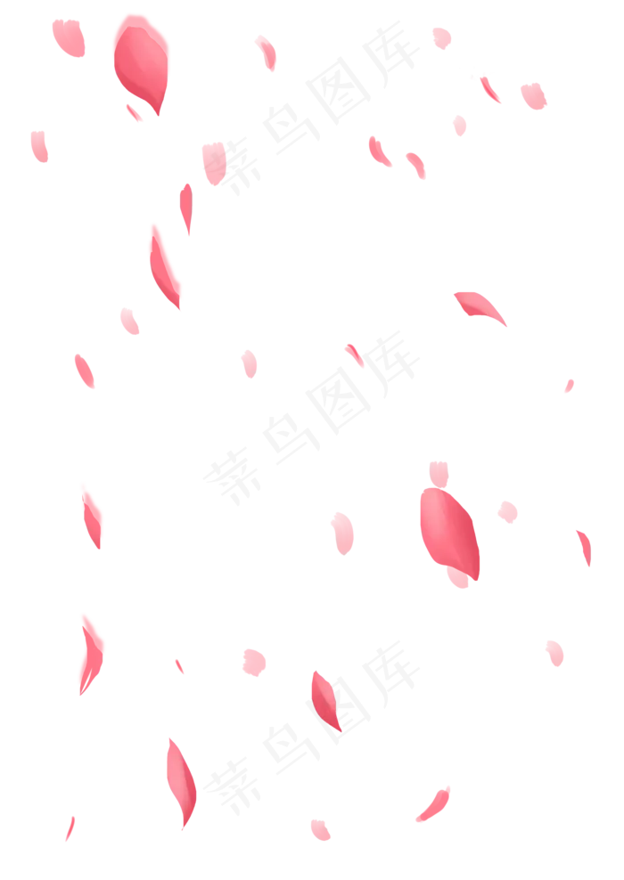 漂浮粉色玫瑰花瓣,免抠元素(2150*3035px 300 dpi )psd模版下载