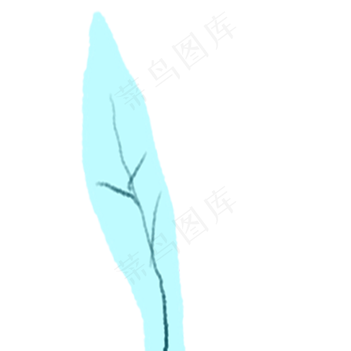 叶子春季自然植物