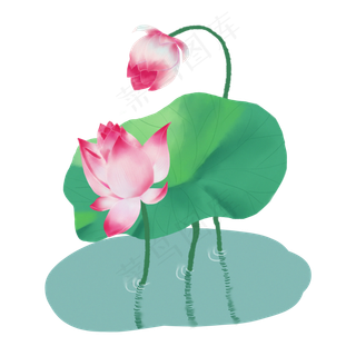 夏至手绘水彩荷花PNG素材