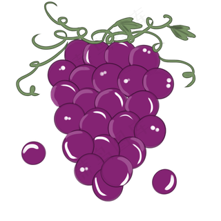 葡萄维生素紫色装饰画大自然叶子