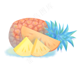 小暑凤梨手绘素材