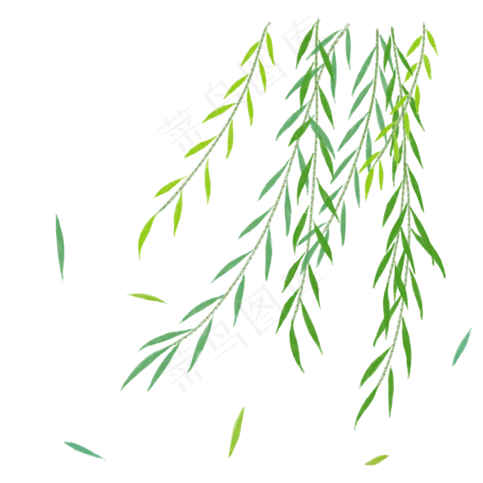 春天的柳叶PNG,免抠元素(2000X2000(DPI:300))psd模版下载