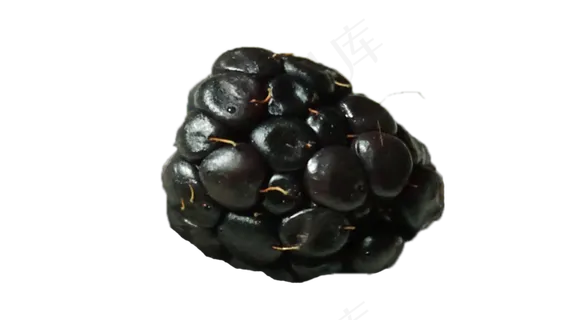 一个桑葚 一个桑葚