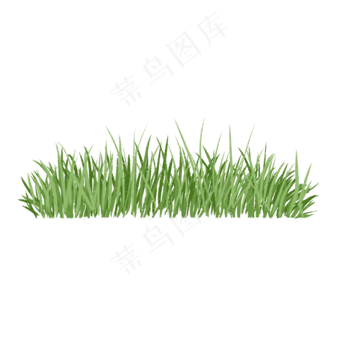 春天绿色植物整簇草丛,免抠元素