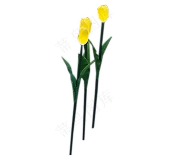 时尚漂亮郁金香(1104X1045(DPI:300))psd模版下载
