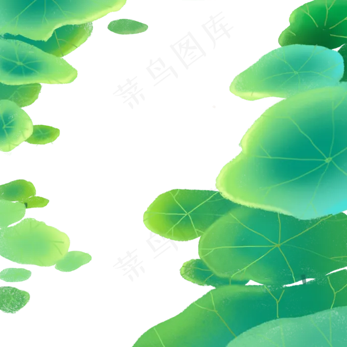 绿色的荷叶免抠图(2000X2000(DPI:300))psd模版下载