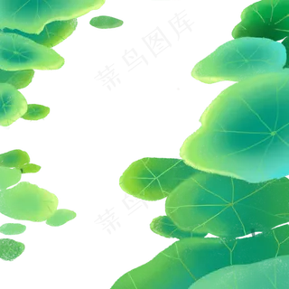 绿色的荷叶免抠图