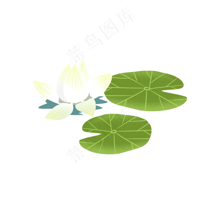 白色荷花荷叶装饰图案(2000X2000(DPI:299))psd模版下载