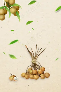 简约水果美味桂圆 简约水果美味桂圆