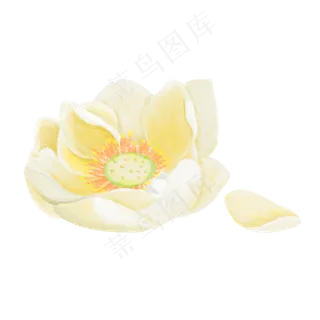 冰娇花小清新免抠图png