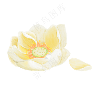 冰娇花小清新免抠图png 冰娇花小清新免抠图png