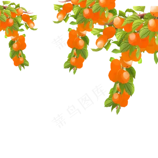 卡通黄色的的橘子