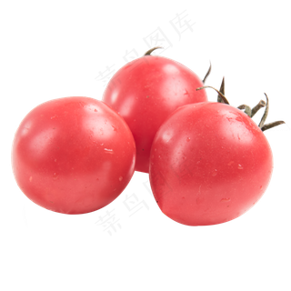 圣女果组合,免抠元素