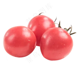 圣女果组合,免抠元素