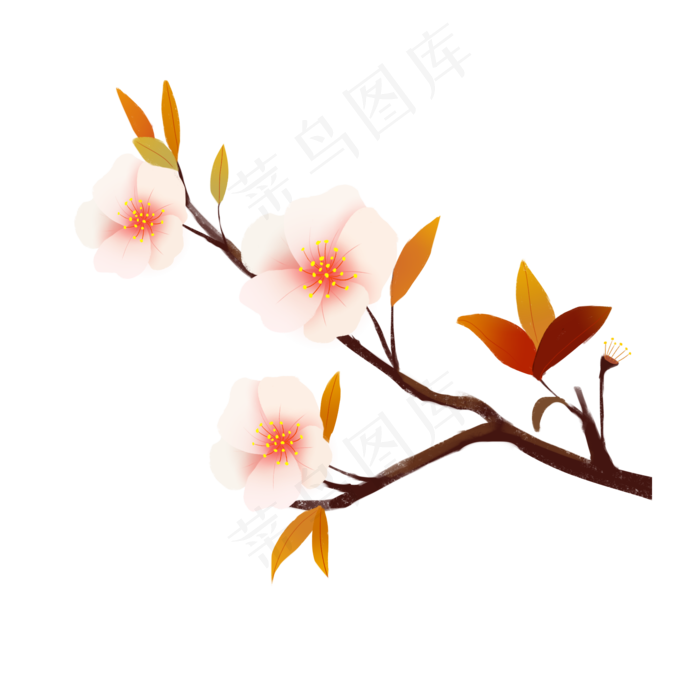 粉嘟嘟的樱花插图