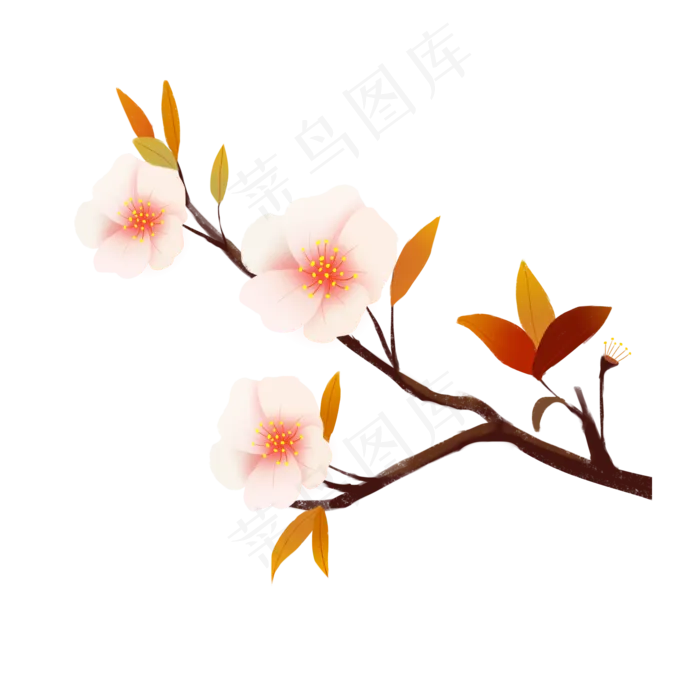 粉嘟嘟的樱花插图(2000X2000(DPI:300))psd模版下载