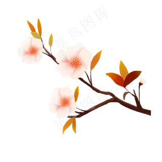 粉嘟嘟的樱花插图