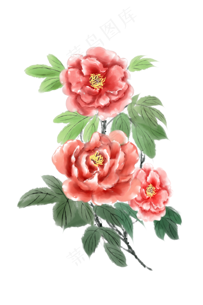 国画花开富贵水彩插画,免抠元素
