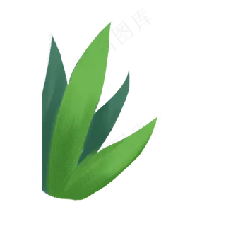 春天植物绿叶下载