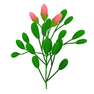 手绘简约绿色植物树