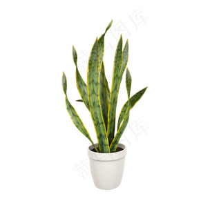 立体仿真C4D绿色花盆栽