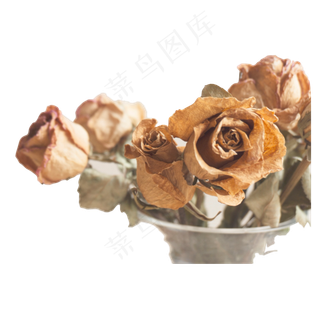 玫瑰干花