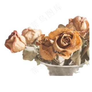 玫瑰干花