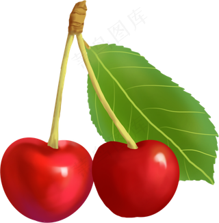 食物类水果诱人樱桃手绘