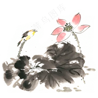 荷花与小鸟水墨画PNG免抠素材