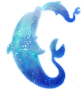 可爱手绘卡通海底动物海豚,免抠元素