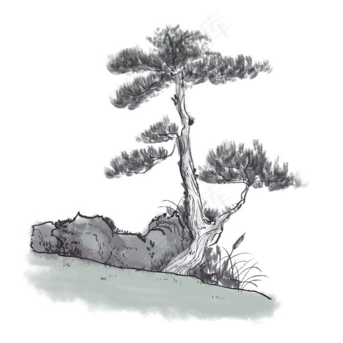 古风松柏(2000X2000(DPI:300))psd模版下载