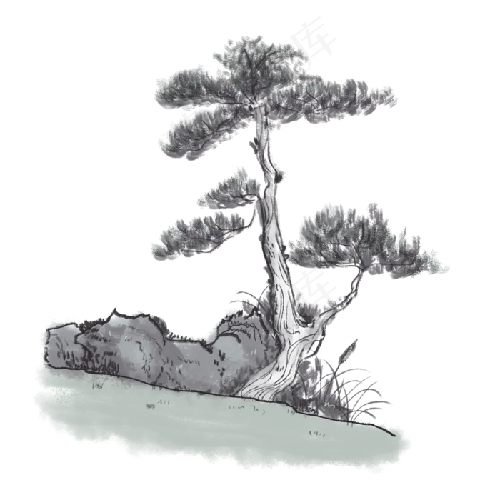 古风松柏(2000X2000(DPI:300))psd模版下载