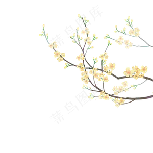 中国风水彩黄色花枝