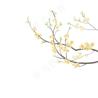 中国风水彩黄色花枝